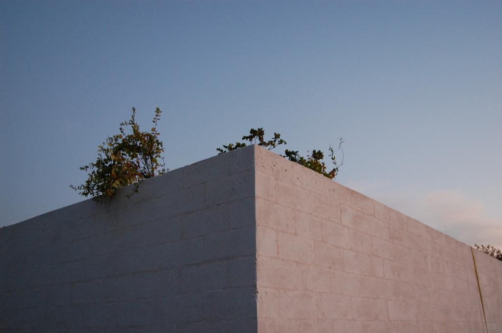 Calcebianca Bed & Breakfast Ostuni Dış mekan fotoğraf